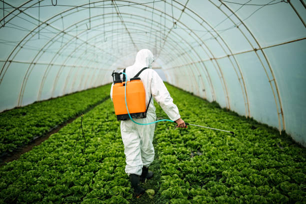 Best Mosquito Control Services  in Goodlettsville, TN