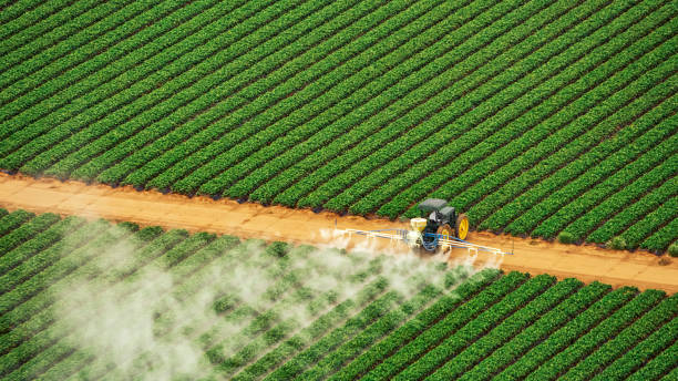 Professional Pest Control in Goodlettsville, TN