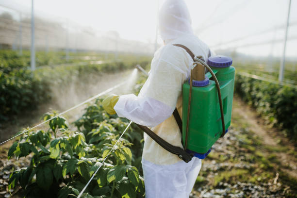 Pest Control Cost in Goodlettsville, TN